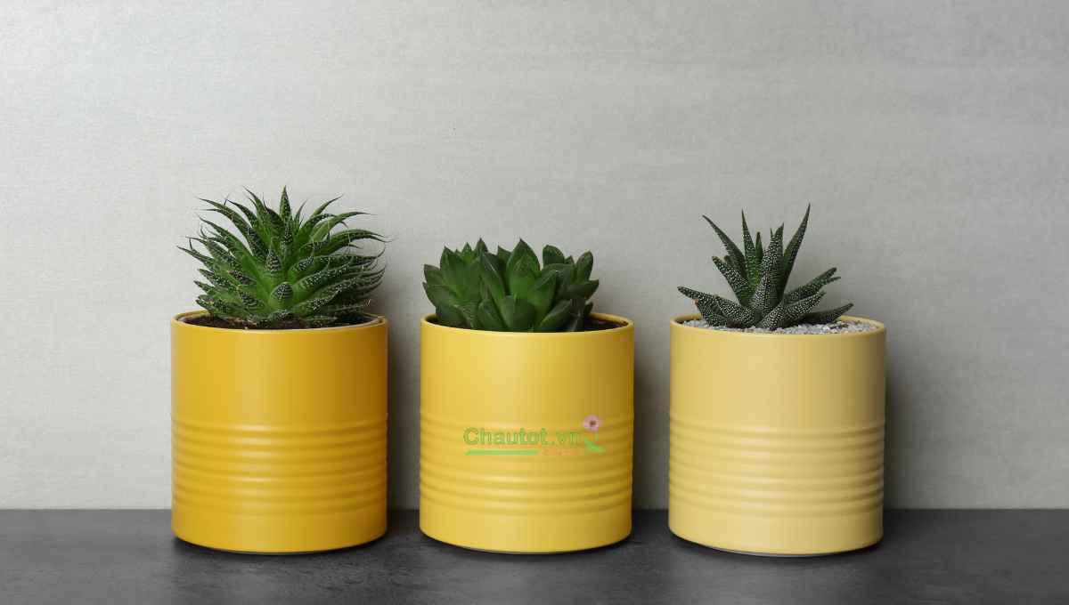 Chậu composite có bị nứt vỡ khi trưng ngoài trời không?