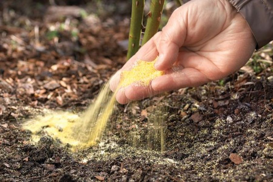 Những lưu ý quan trọng khi tăng độ chua của đất
