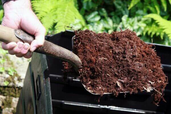 Sự thật khiến bạn bất ngờ về phân dơi