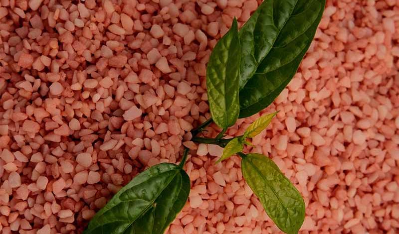 Các loại phân kali phổ biến hiện nay