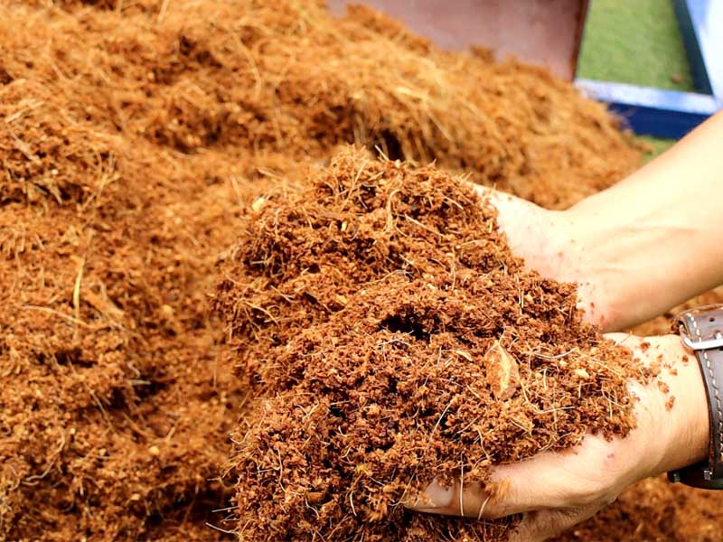 Các bước làm phân bón từ xơ dừa tại nhà