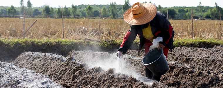Bón lót là gì? Bí quyết giúp cây trồng phát triển bền vững