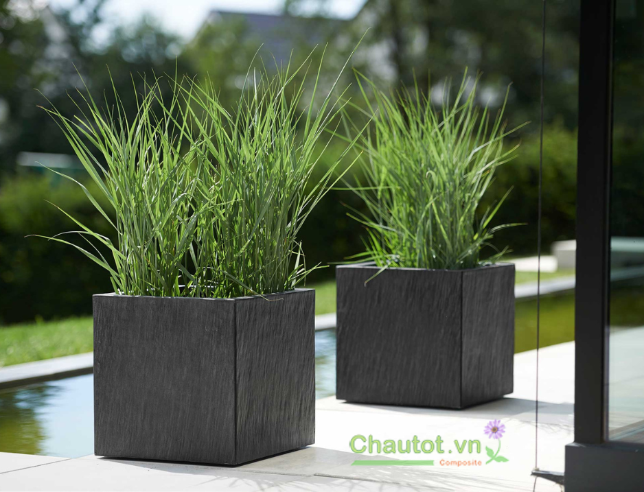 Vì sao nên chọn chậu composite?