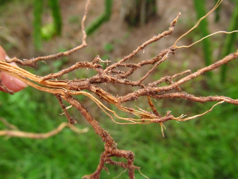 Tác động trong ngắn hạn