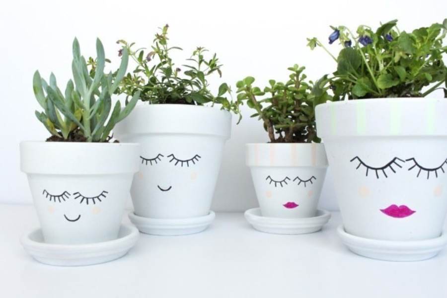 Ứng dụng của họa tiết trang trí trên chậu cây cảnh