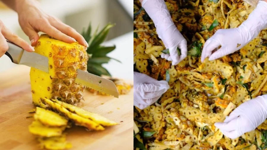 lợi ích vỏ khóm
