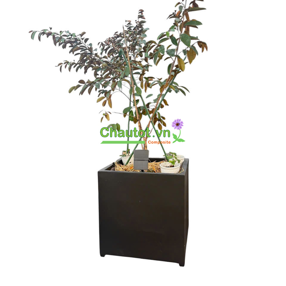 Chậu Composite Vuông BAOBINH - CT2089