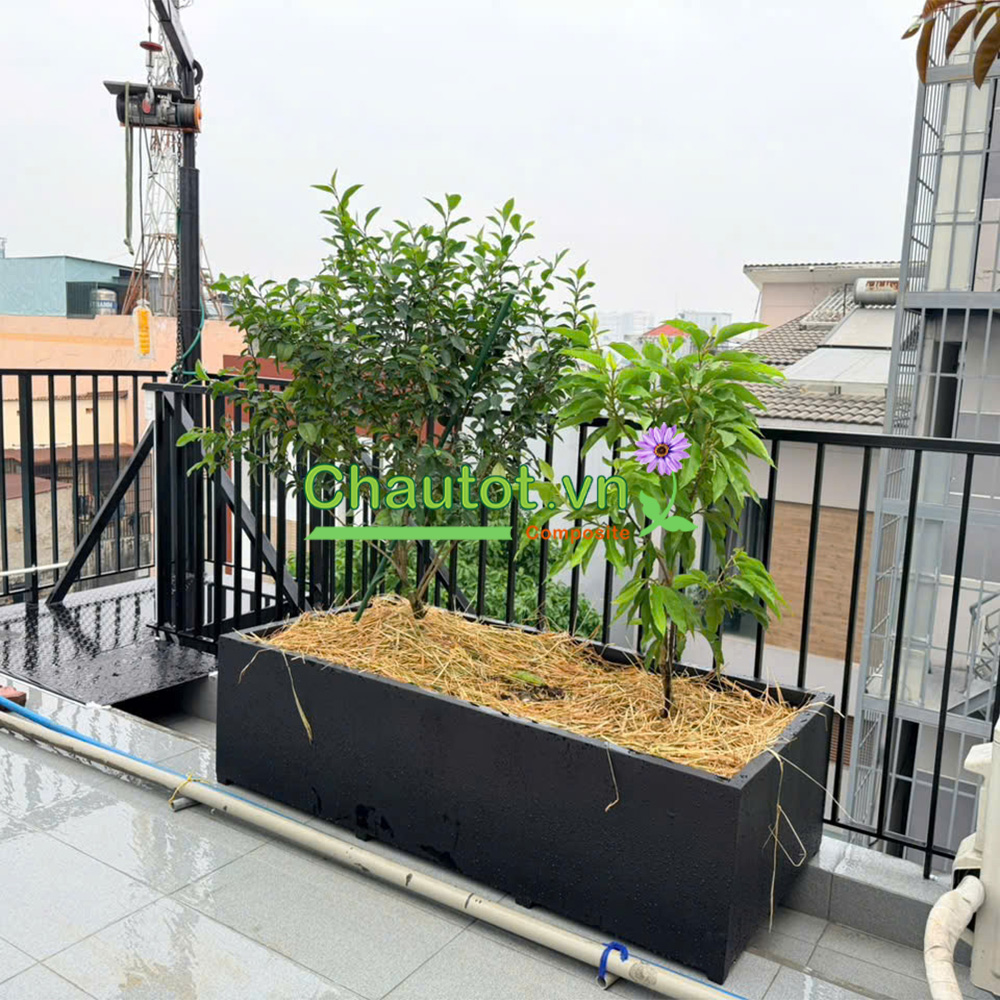 Chậu Composite Chữ Nhật Lớn BAOBINH - CT2080