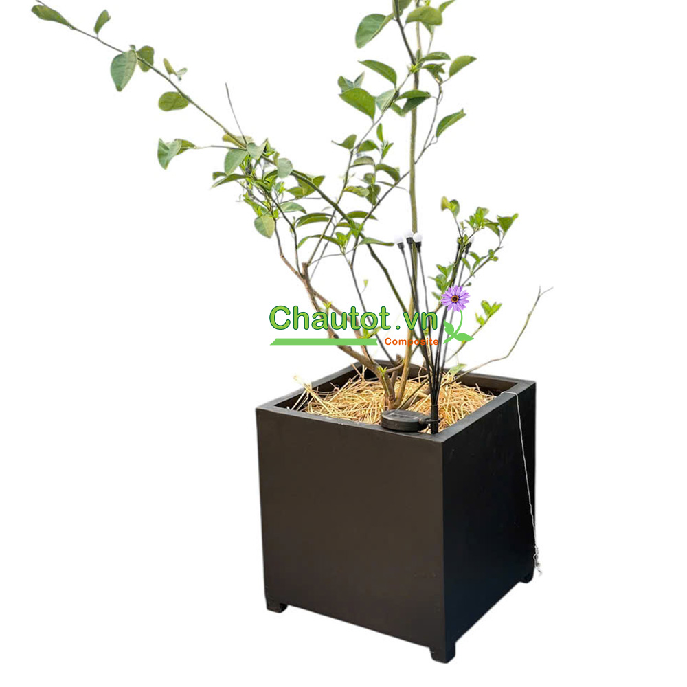 Chậu Composite Vuông BAOBINH - CT2089