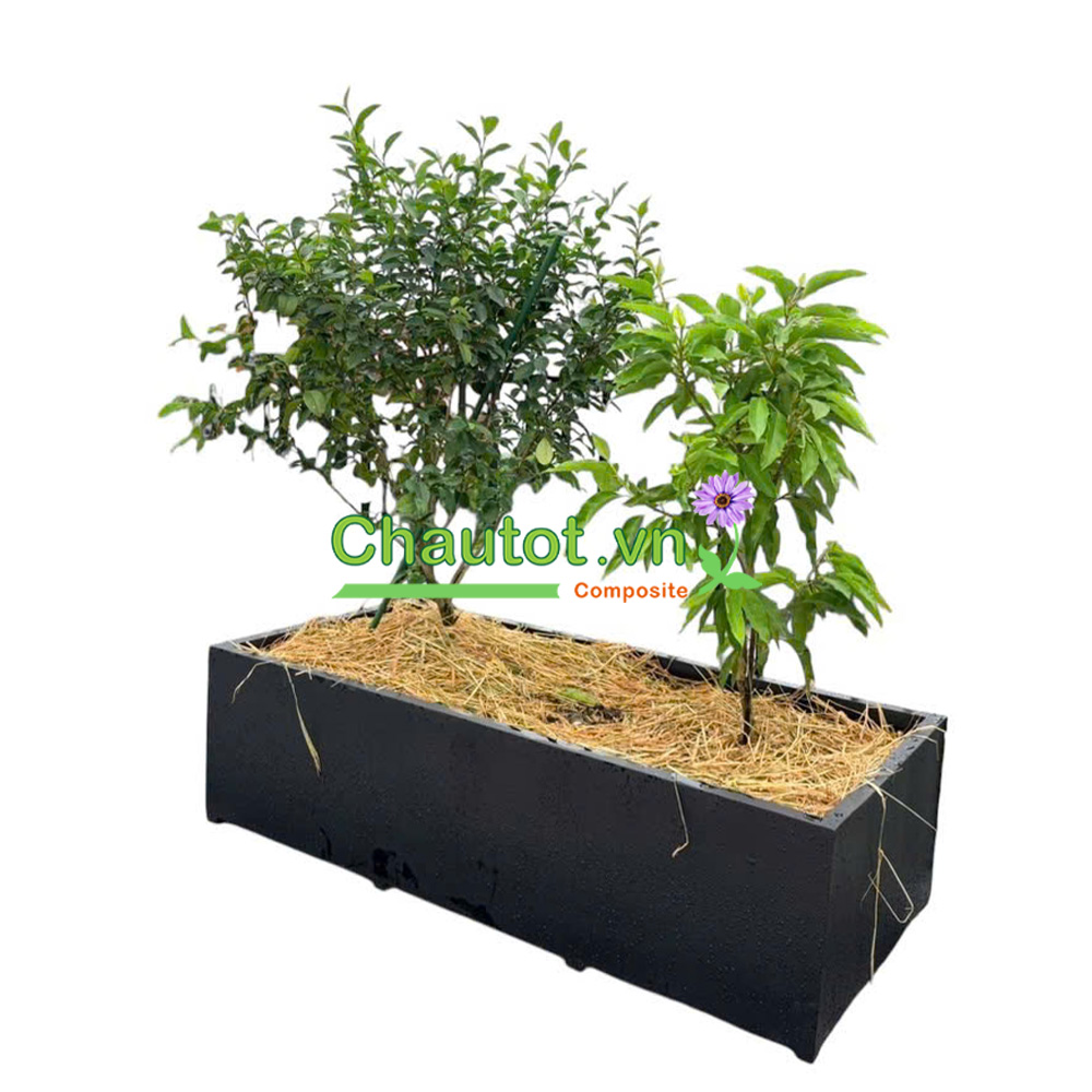 Chậu Composite Chữ Nhật Lớn BAOBINH - CT2080