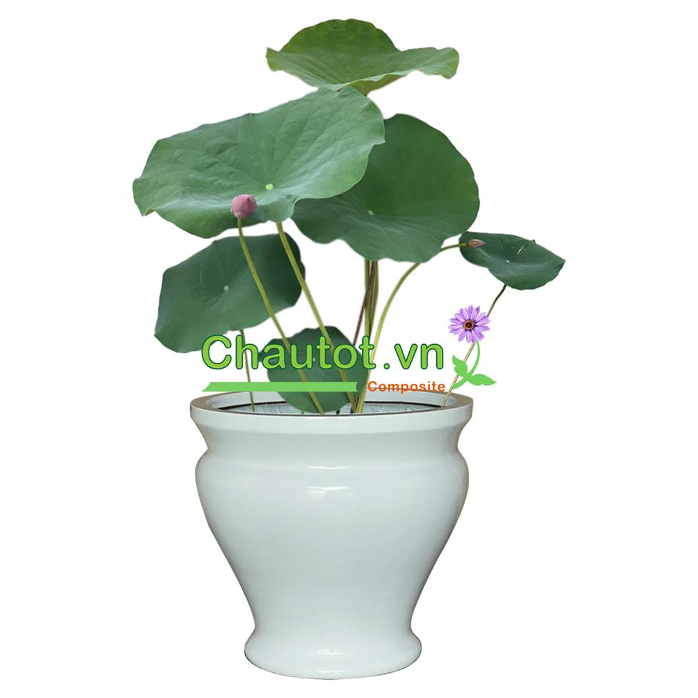 Chậu Composite Tròn BAOBINH - CT2073