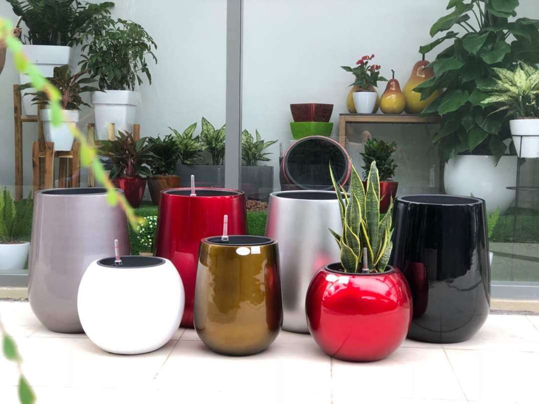 Chậu Tự Tưới