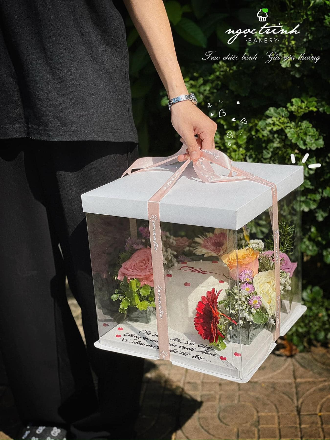 So Sánh Ưu Và Khuyết Điểm Hộp Bánh Kem Giấy Và Hộp Bánh Kem Nhựa Trong