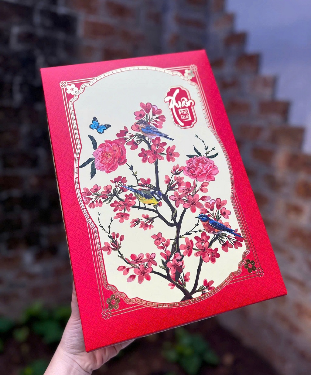 Hình ảnh thực tế hộp Én Xuân