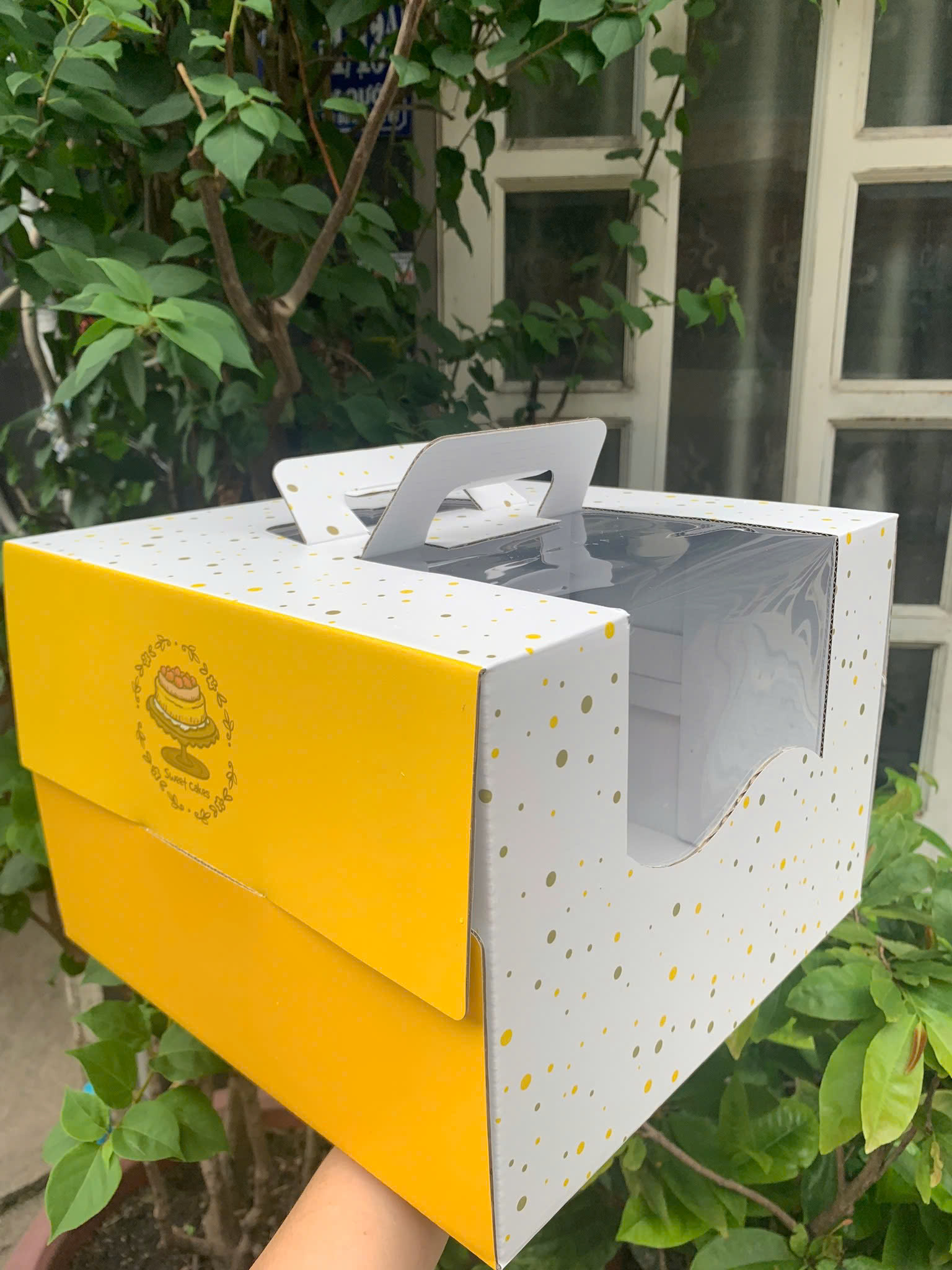 Hộp Đựng Bánh Kem Giấy Mẫu Sao Vàng