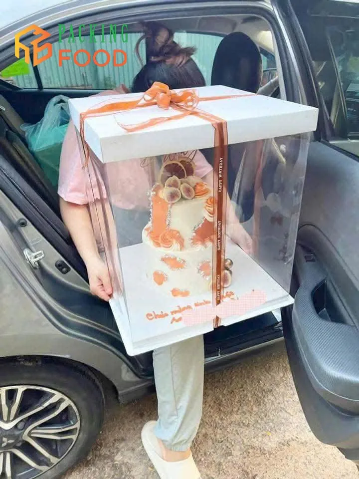 Hộp Đựng Bánh Kem Nhựa Trong Size 50cm cao 45cm - Hộp Đựng Bánh Cưới - Bánh Sinh Nhật - Fondant