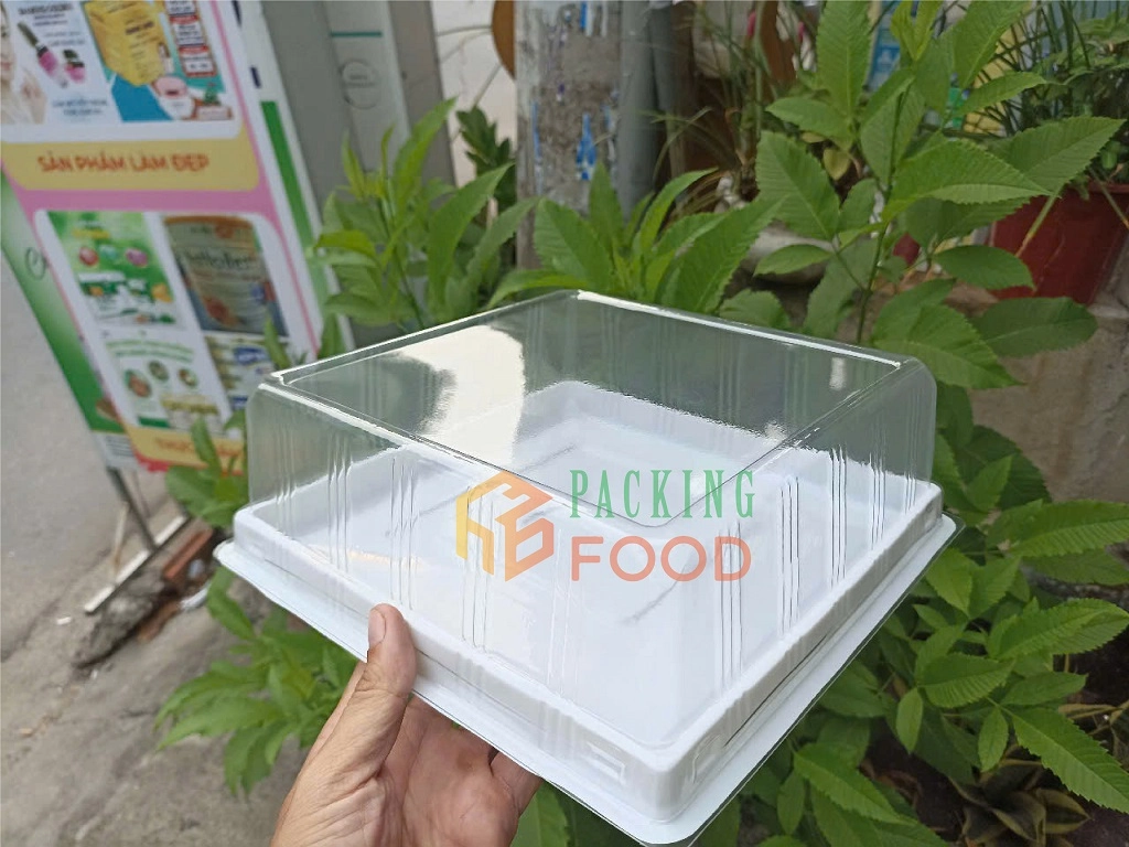 Hộp Nhựa Đựng Bánh Vuông HH121