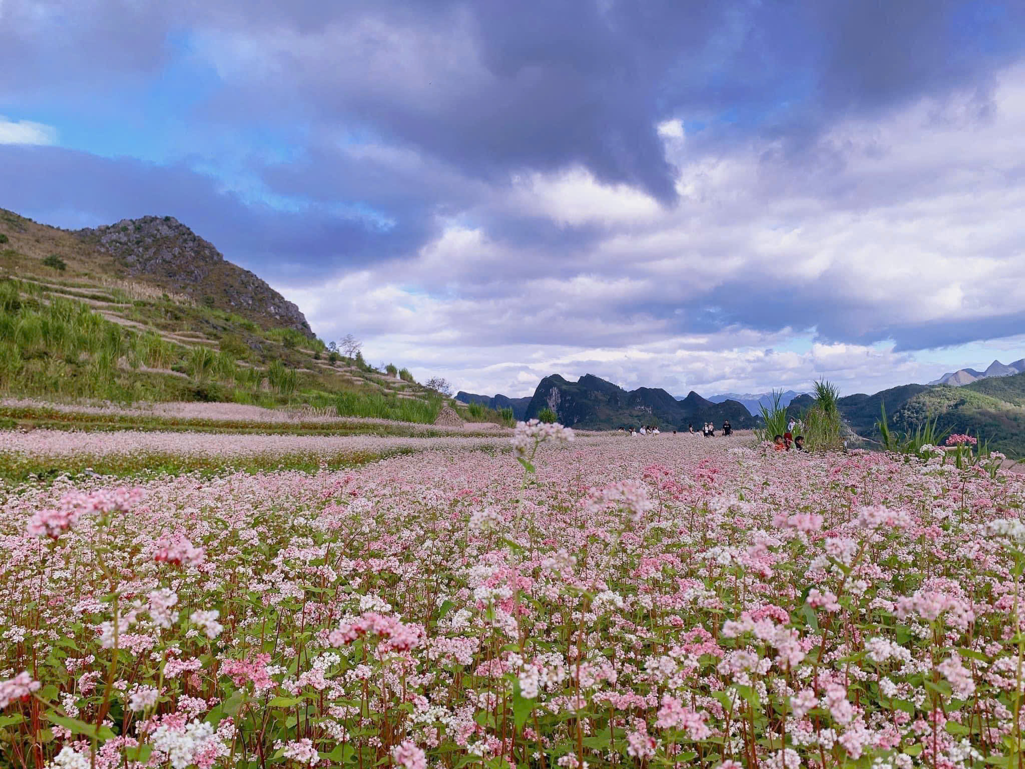 TOUR  HÀ NỘI - HÀ GIANG – MIỀN ĐÁ NỞ HOA - SÔNG NHO QUẾ - 3 NGÀY 2 ĐÊM