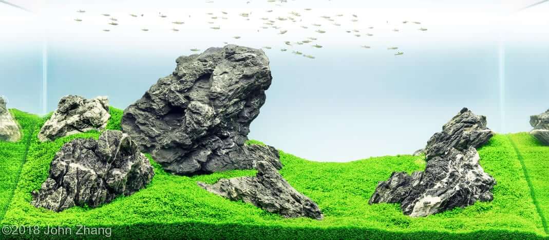 Phong cách Iwagumi - Nghệ thuật xếp đá trong hồ thủy sinh