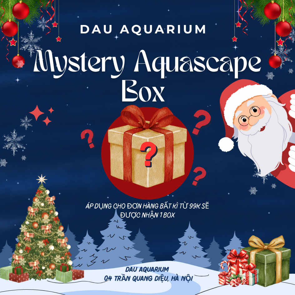 Dau Aquarium