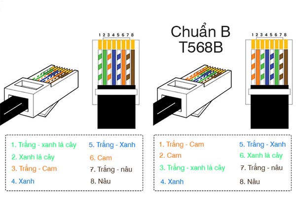 Nên bấm dây mạng chuẩn A hay B