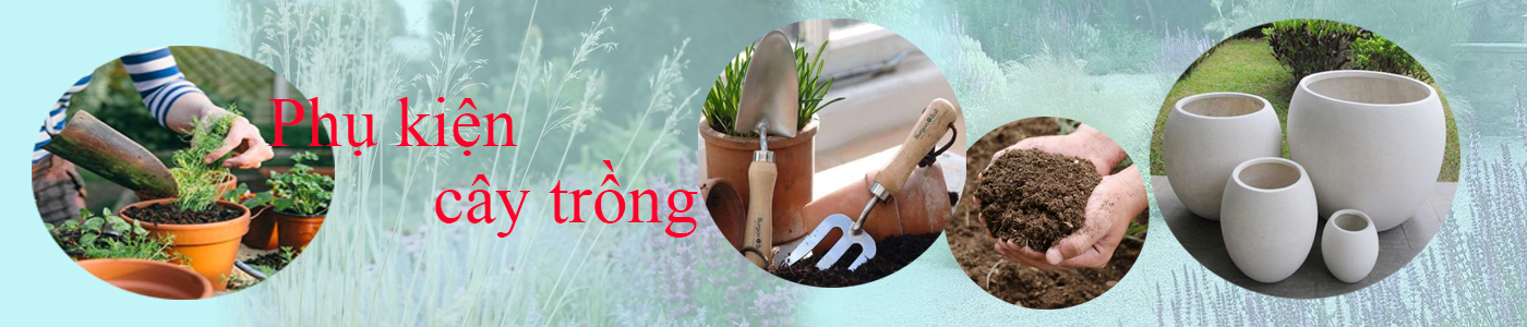 Phụ kiện cây trồng