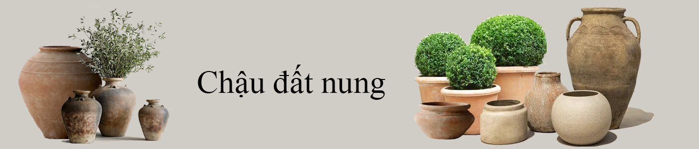 Chậu đất nung