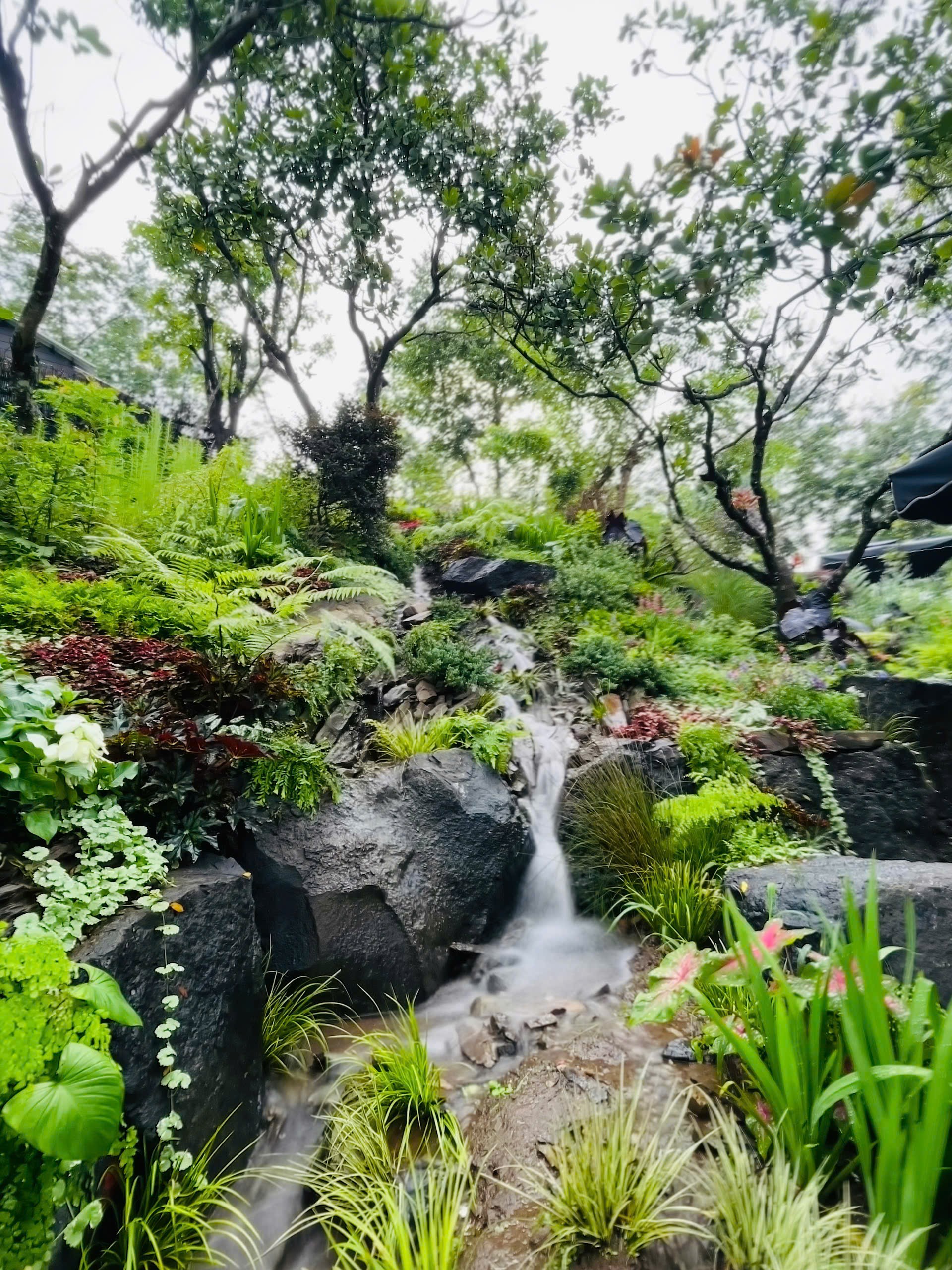 Mơ Hạ - Nơi giấc mơ từ núi rừng xuôi dòng hạ lưu