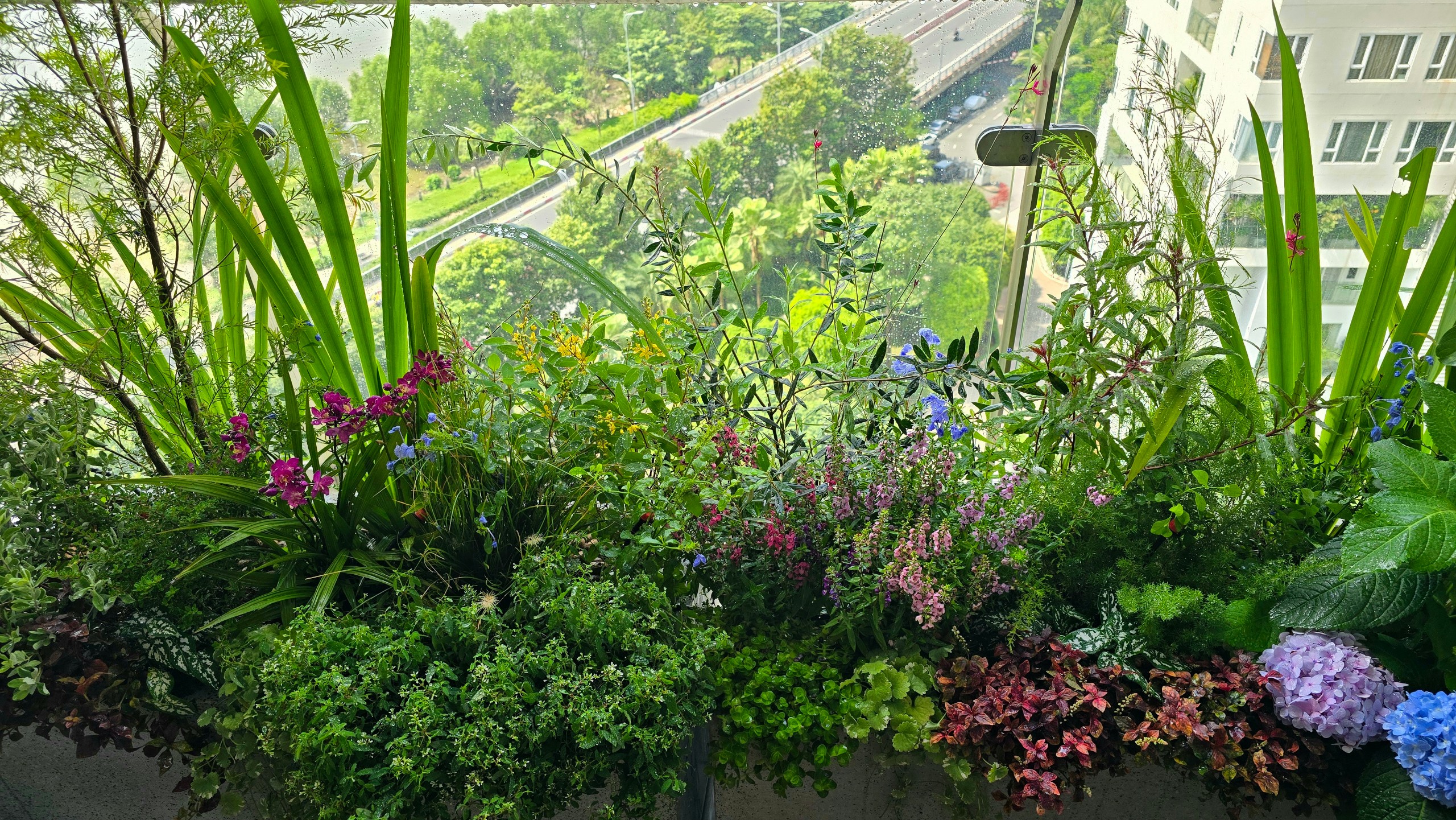 Chung cư Maldives Đảo Kim Cương (Quận 02)