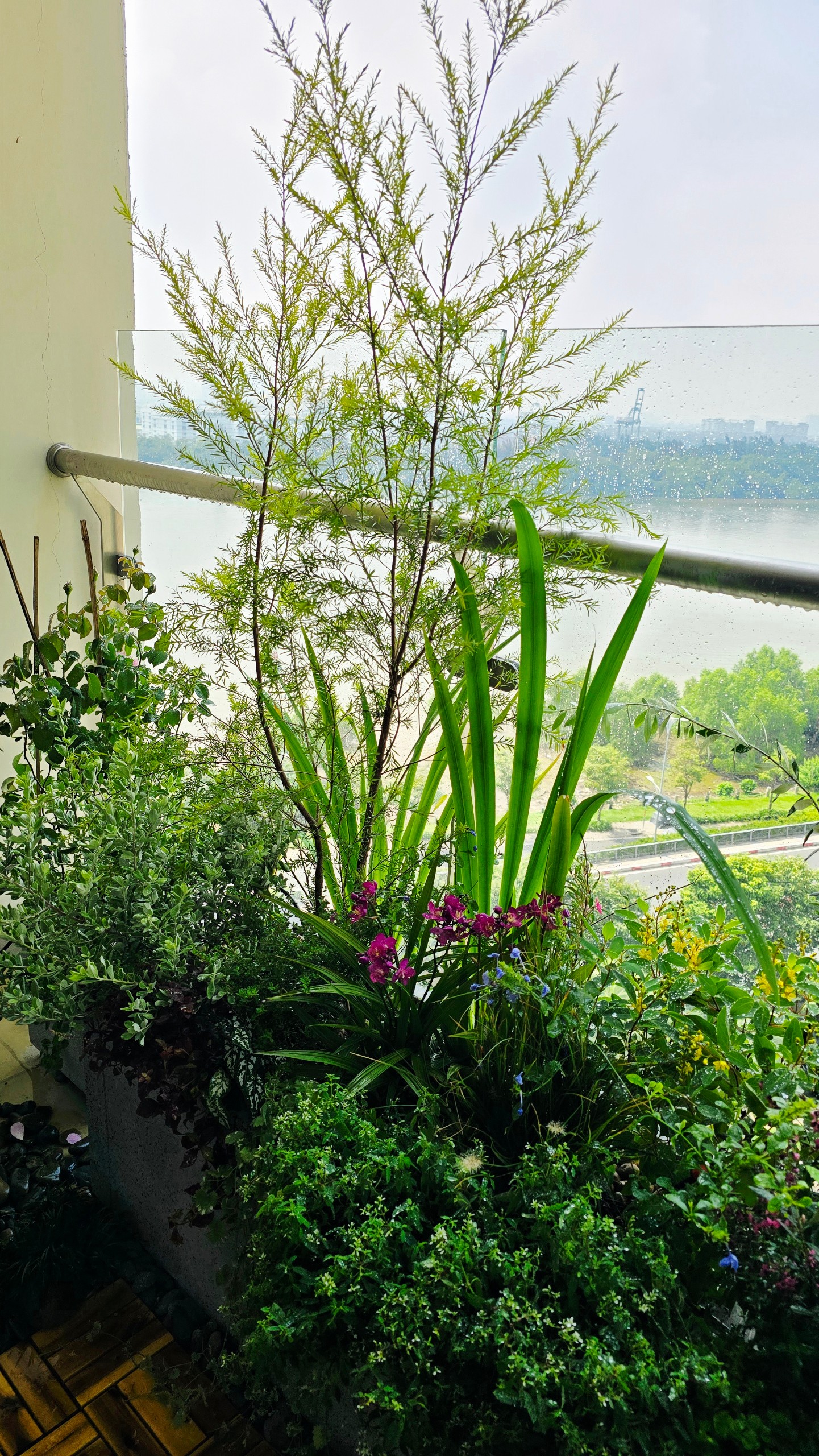 Chung cư Maldives Đảo Kim Cương (Quận 02)