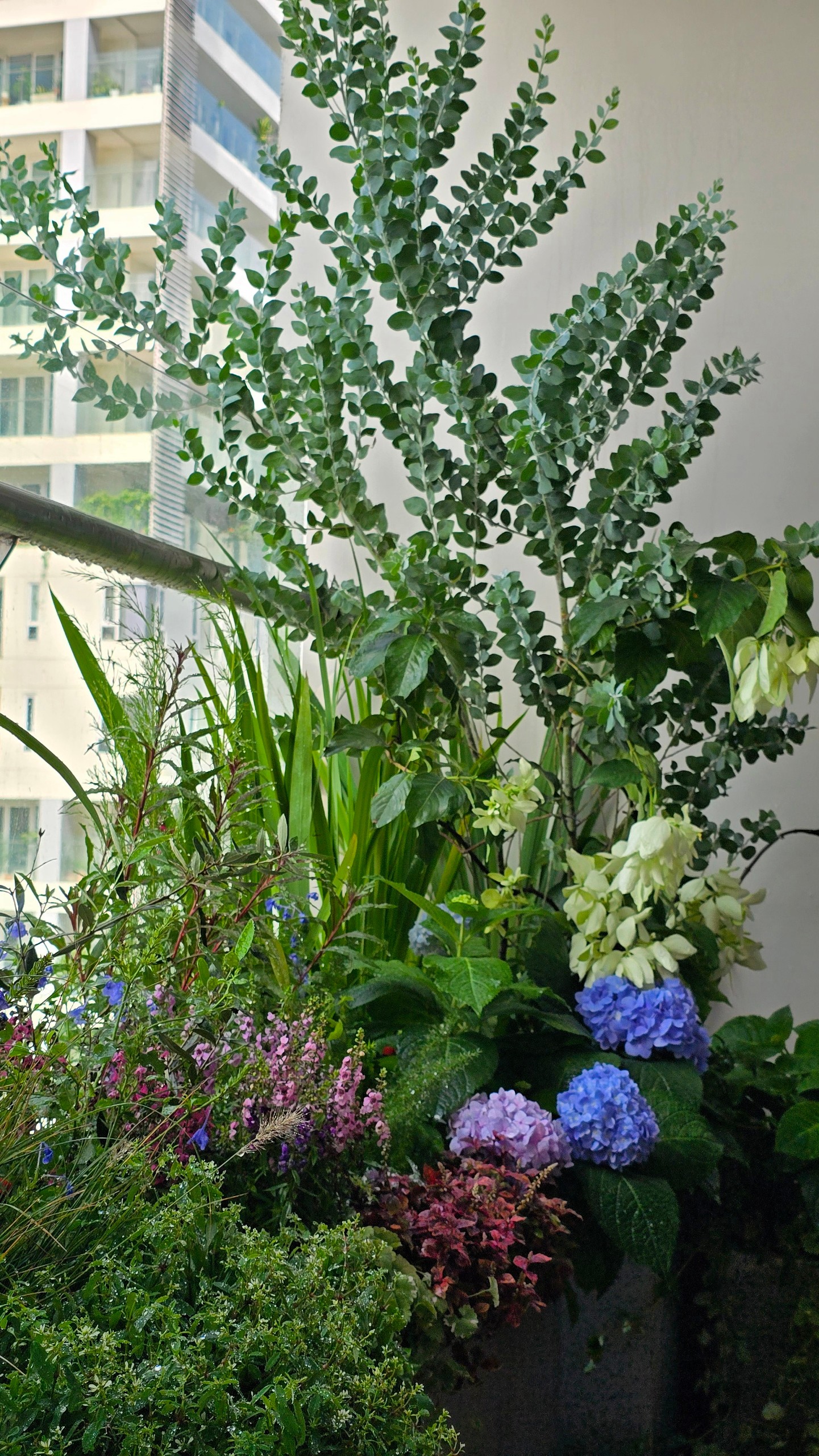 Chung cư Maldives Đảo Kim Cương (Quận 02)