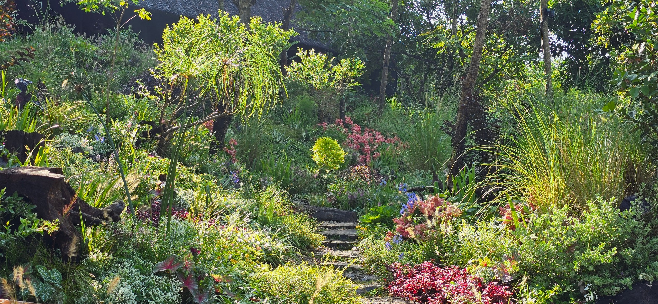 Vintage - Khu vườn mang khí chất Âu Châu