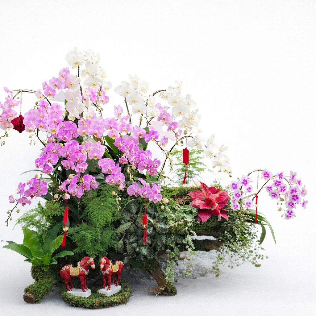 Tiểu Cảnh Lan Hồ Điệp