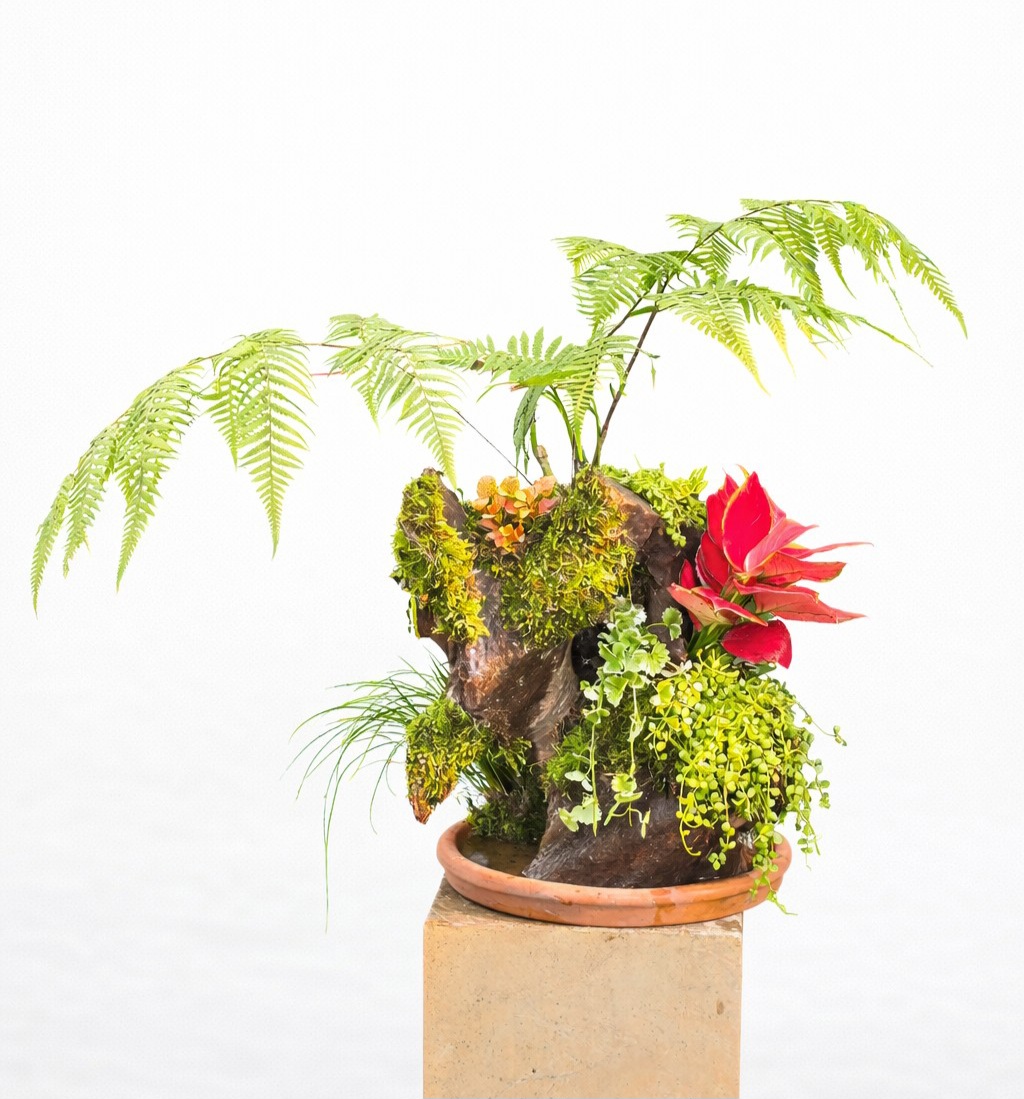 Tiểu Cảnh Lan Hồ Điệp