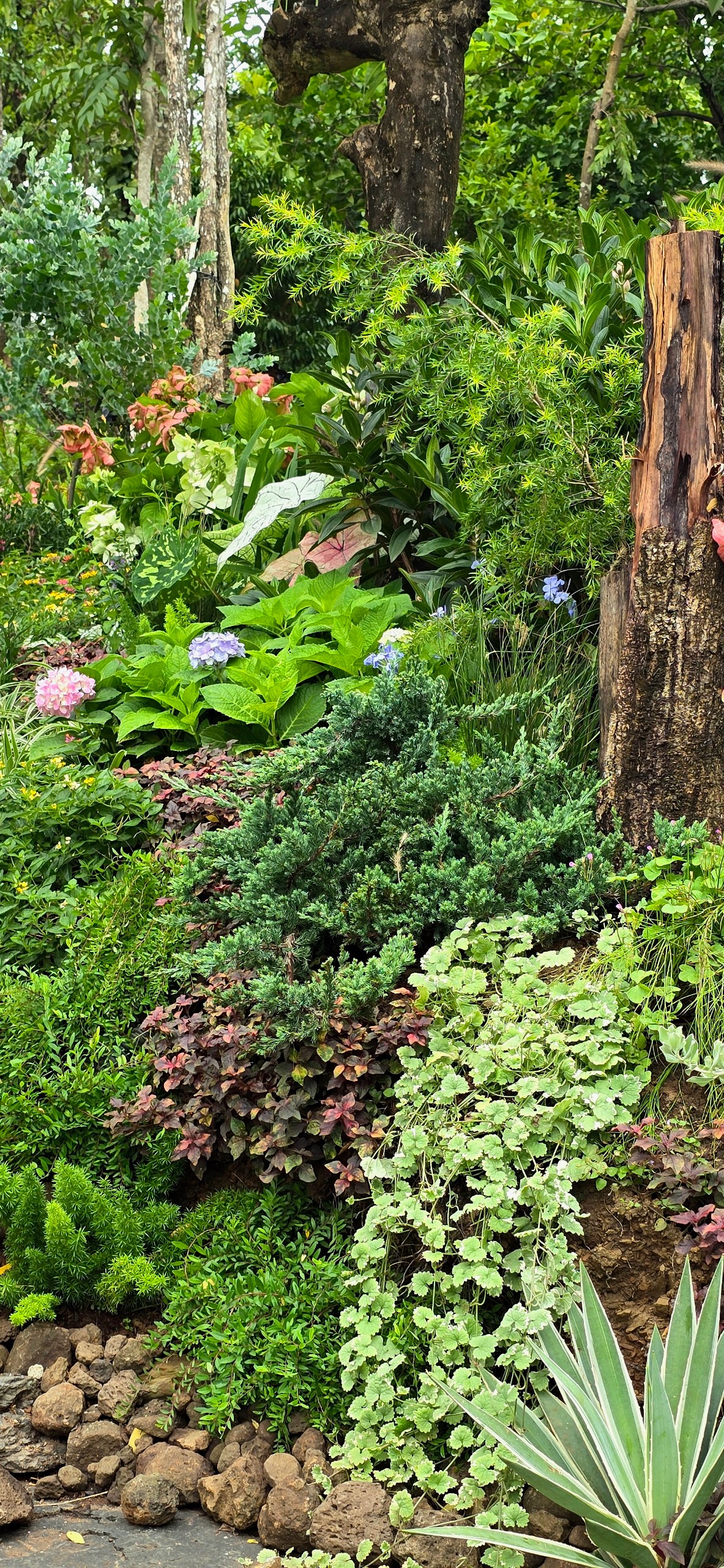 Vintage - Khu vườn mang khí chất Âu Châu