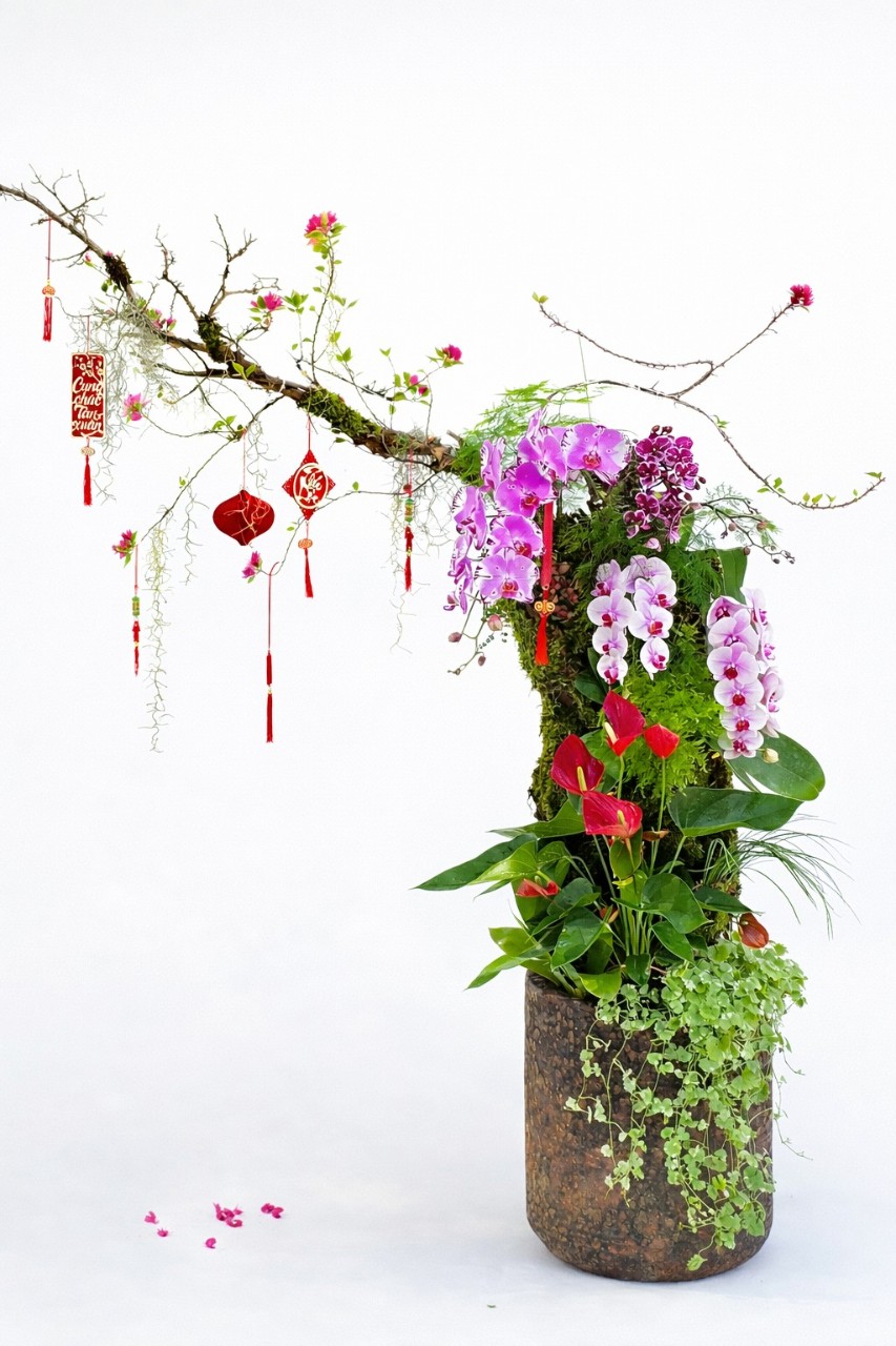 Tiểu Cảnh Lan Hồ Điệp