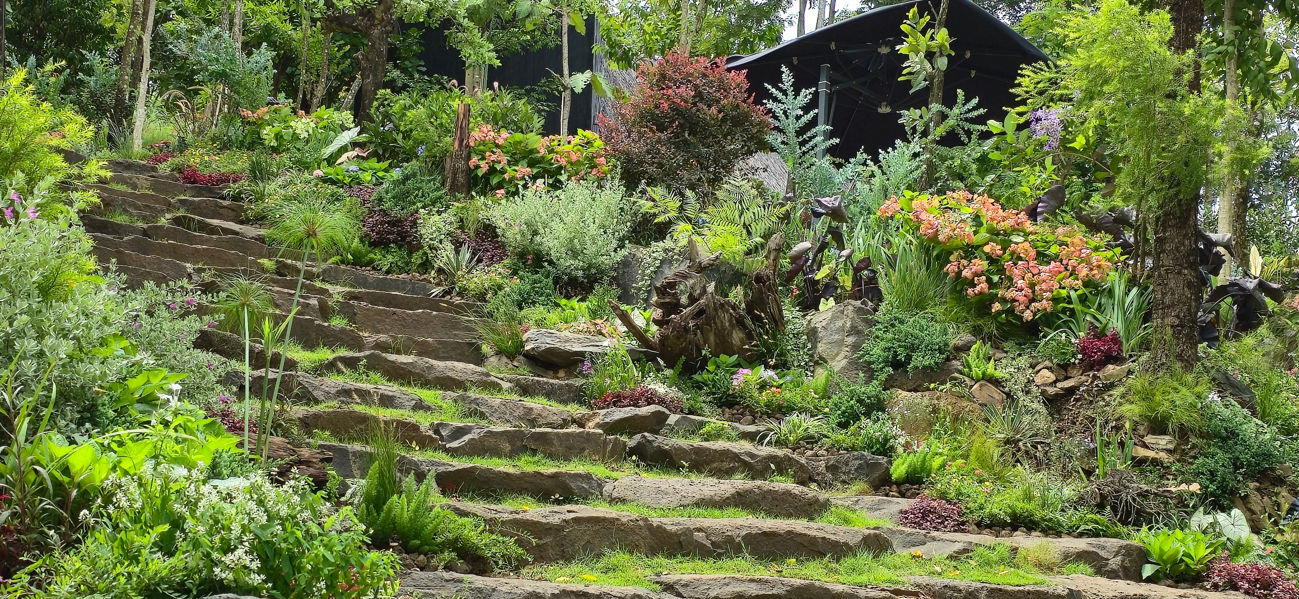 Vintage - Khu vườn mang khí chất Âu Châu