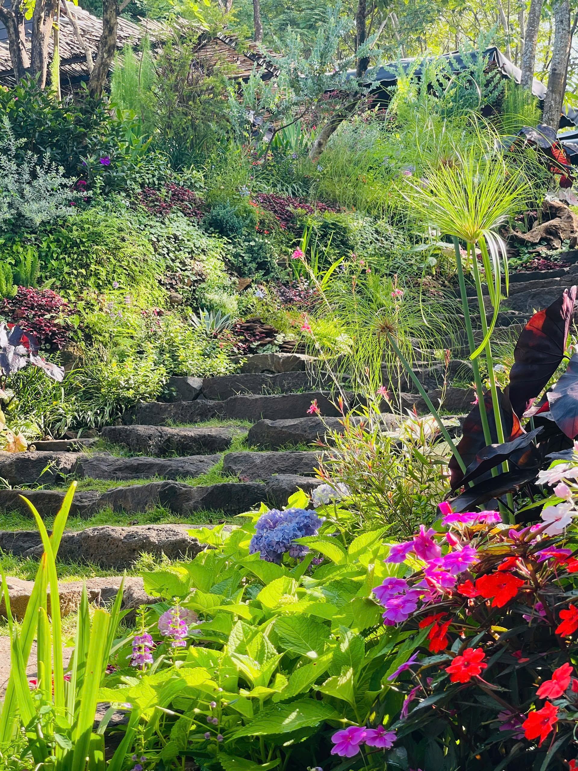 Vintage - Khu vườn mang khí chất Âu Châu