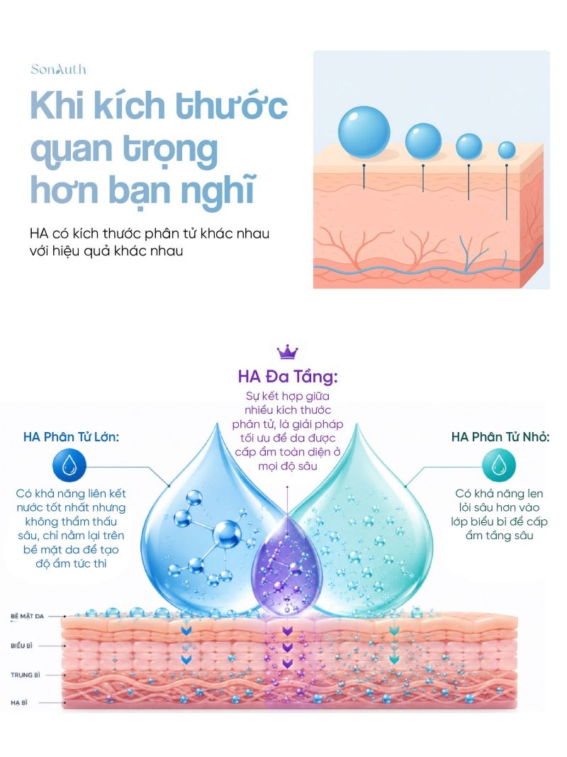Hyaluronic Acid