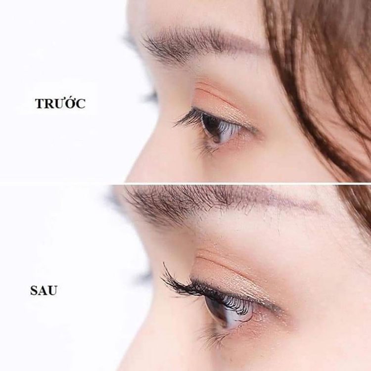 Kẹp Mi Shiseido Eyelash Curler 213