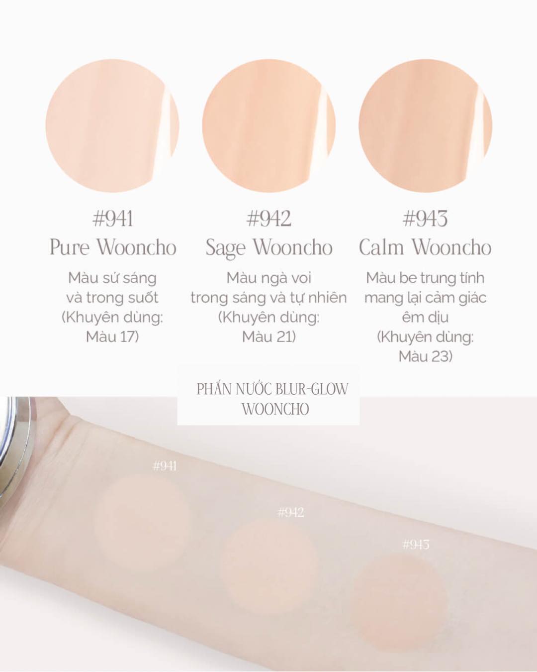 Phấn Nước Căng Bóng Dinto Blur Glowy Wooncho Cushion 12g