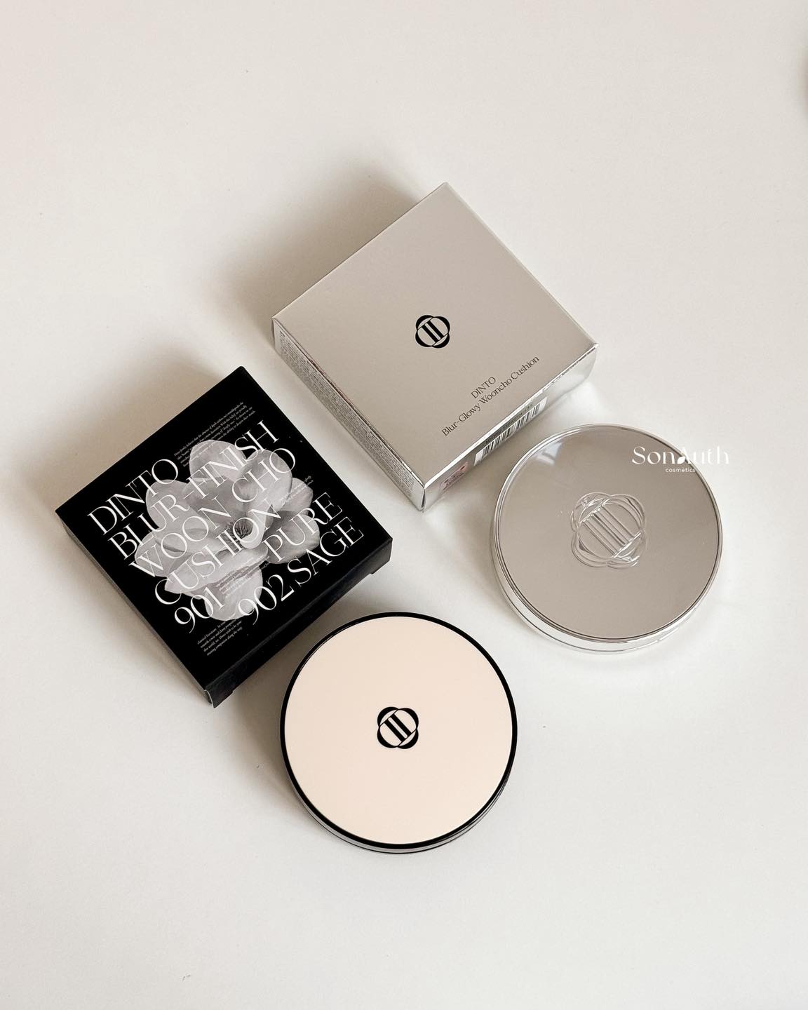 Phấn Nước Mờ Mịn Dinto Blur-Finish Wooncho Cushion 12g