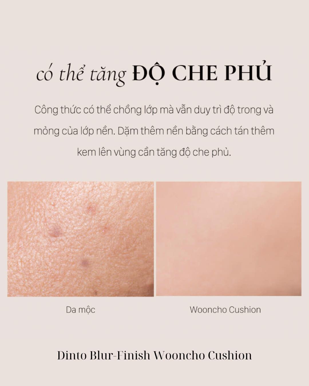 Phấn Nước Mờ Mịn Dinto Blur-Finish Wooncho Cushion 12g
