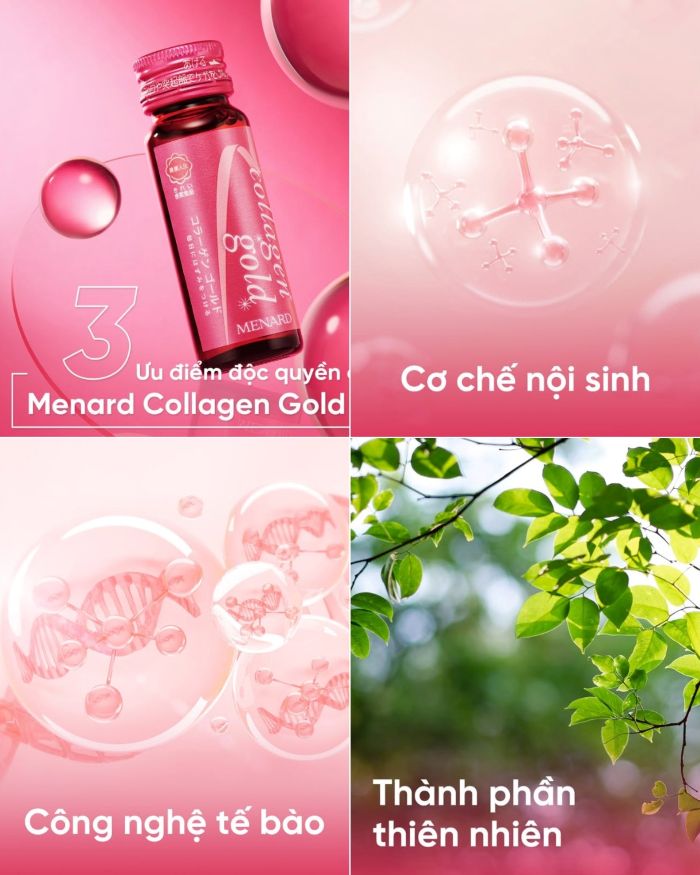 Thực Phẩm Bổ Sung Collagen Nội Sinh Menard Collagen Gold (10×30ml)
