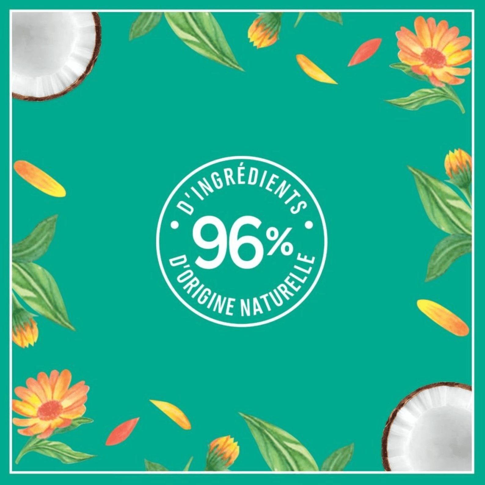 Le Petit Marseillais Masque 4en1 Hydratation 300ml