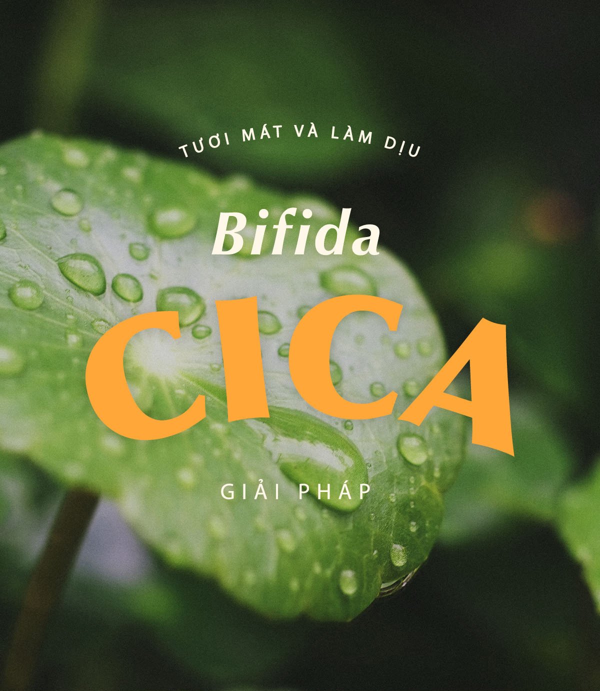 Nước Cân Bằng Ma:nyo Bifida Cica Herb Toner 210ml (NK)