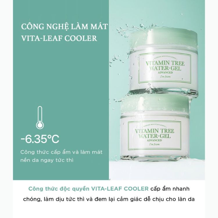 Kem Dưỡng Dành Cho Da Việt I'm From Vitamin Tree Water-Gel Advanced 75g