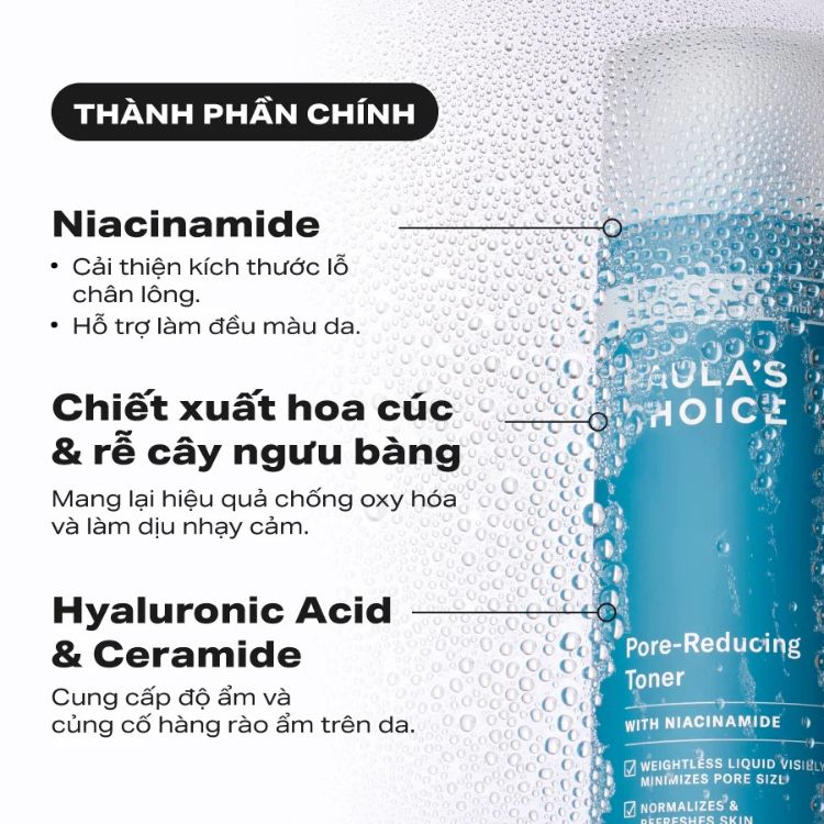 Nước Cân Bằng Thu Nhỏ Lỗ Chân Lông Paula’s Choice Skin Balancing Pore-Reducing Toner 190ml