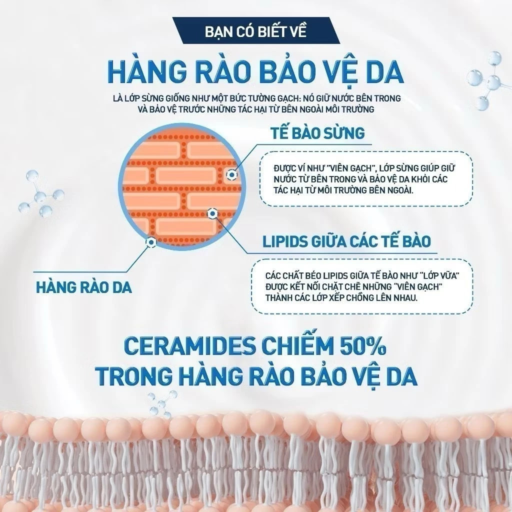 Kem Dưỡng Ẩm Dành Cho Da Khô Cerave Moisturising Cream For Dry To Very Dry Skin 50ml