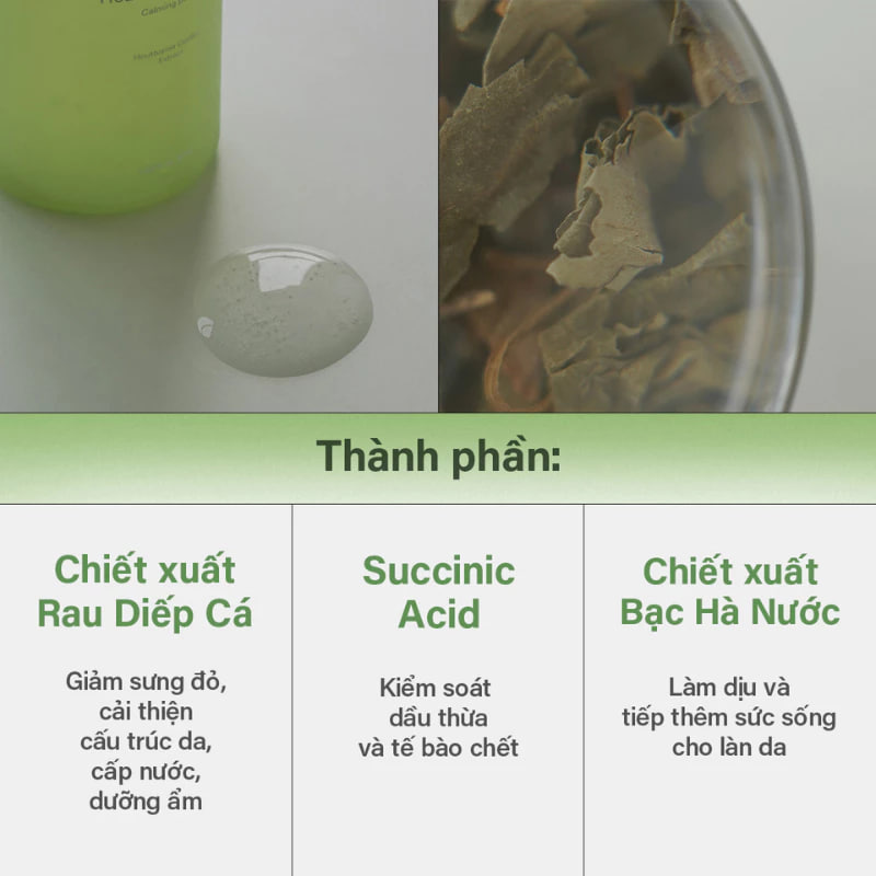 Tinh chất Abib Heartleaf Essence Calming Pump New Version 50ml